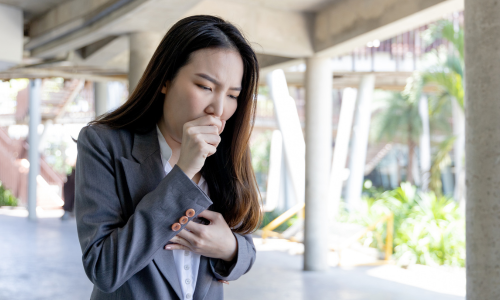 Prestige Air IAQ Indoor Air Quality